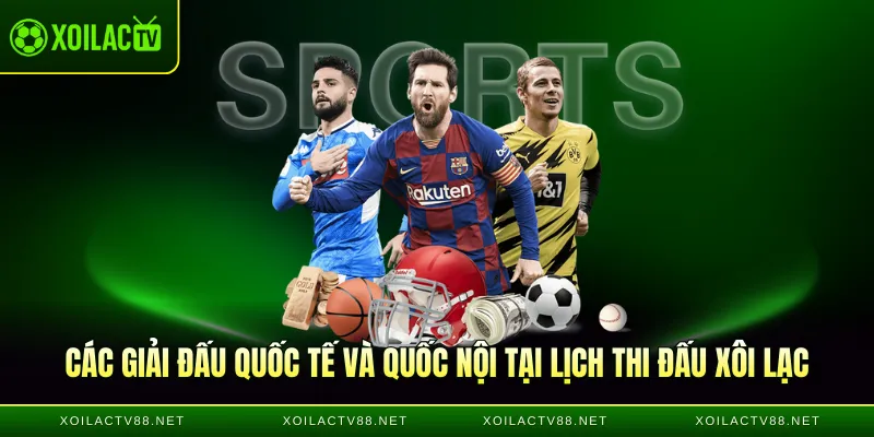 Các giải đấu quốc tế và quốc nội tại lịch thi đấu Xôi lạc