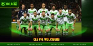 Câu Lạc Bộ VfL Wolfsburg - Sói Xanh Thành Phố Xe Hơi